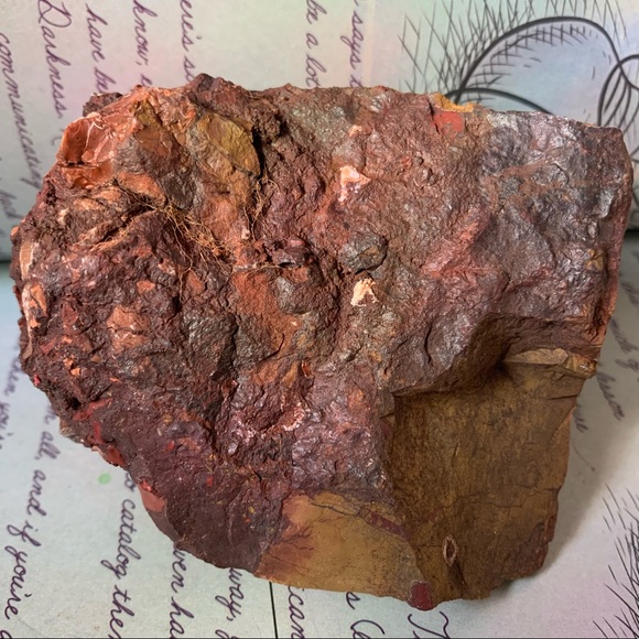 Beautiful piece of Petrified Redwood tree mineral stone display specimen - Picture 6 of 11